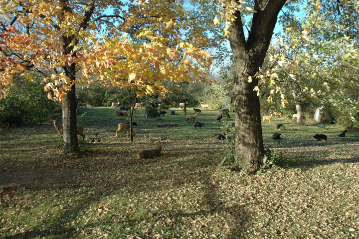 Image 10