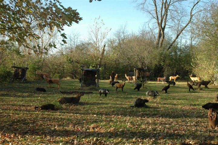 Image 13