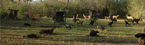 3D Range