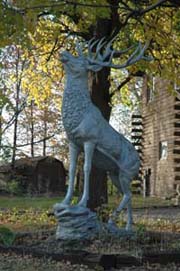 The Elk