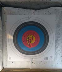 Standard Target